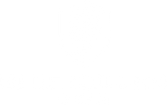 Blue Collar Skin