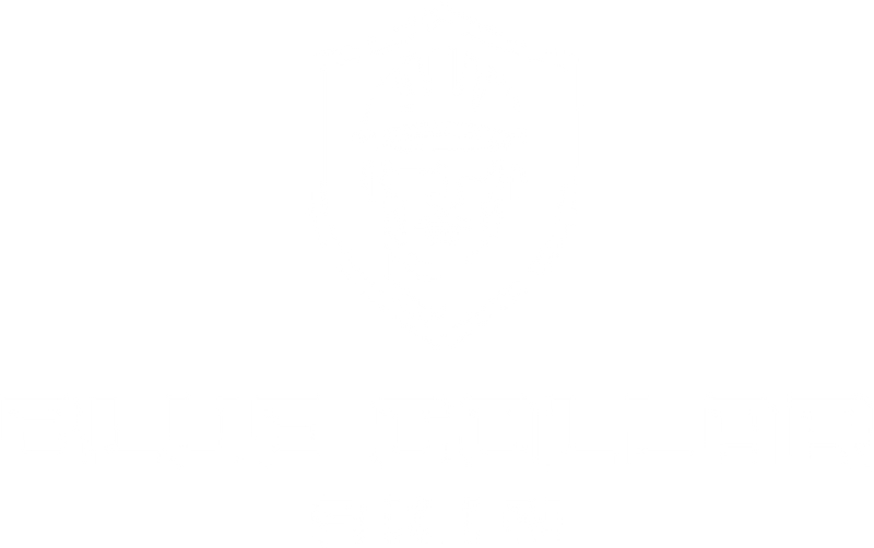 Blue Collar Skin